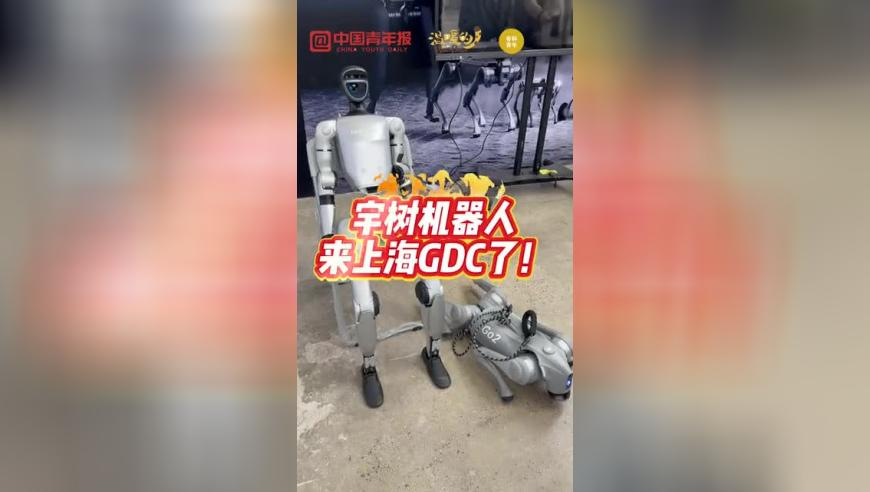 女生面试群演电动车被录取,二四六(944cc)资料免费,广泛的解释落实支持计划_权威版V12.23