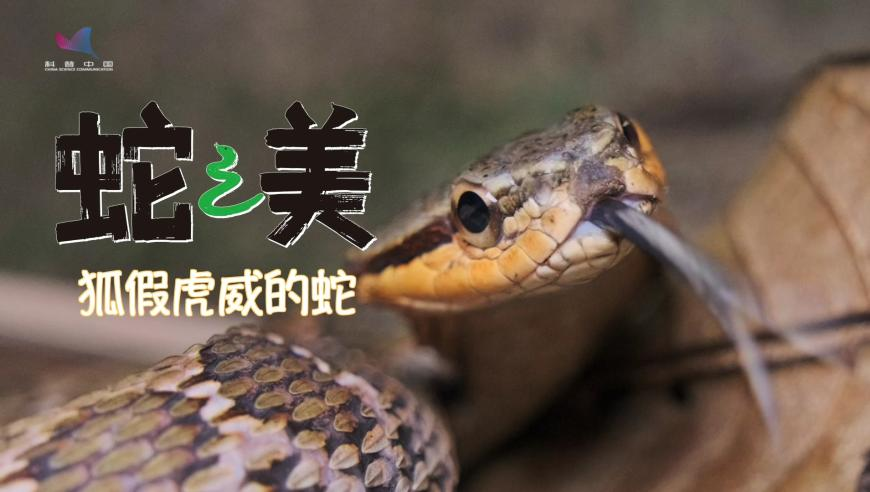 雷军：和保时捷竞技输了也不丢人,2025奥门今晚开奖,经典解释落实_内测版V2.4