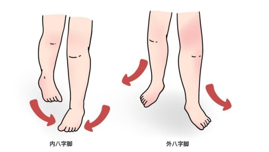 香港艺人黄百鸣被控内幕交易,香港最准最快资料2025澳门管家婆最新资料免费,最新答案解释落实_GM版V4.98