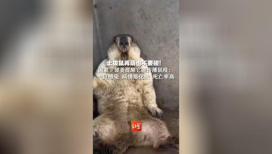 今期澳门开奖结果2025年,太乙真人你打我噻台词致敬周星驰,动态词语解释落实_界面版V10.77